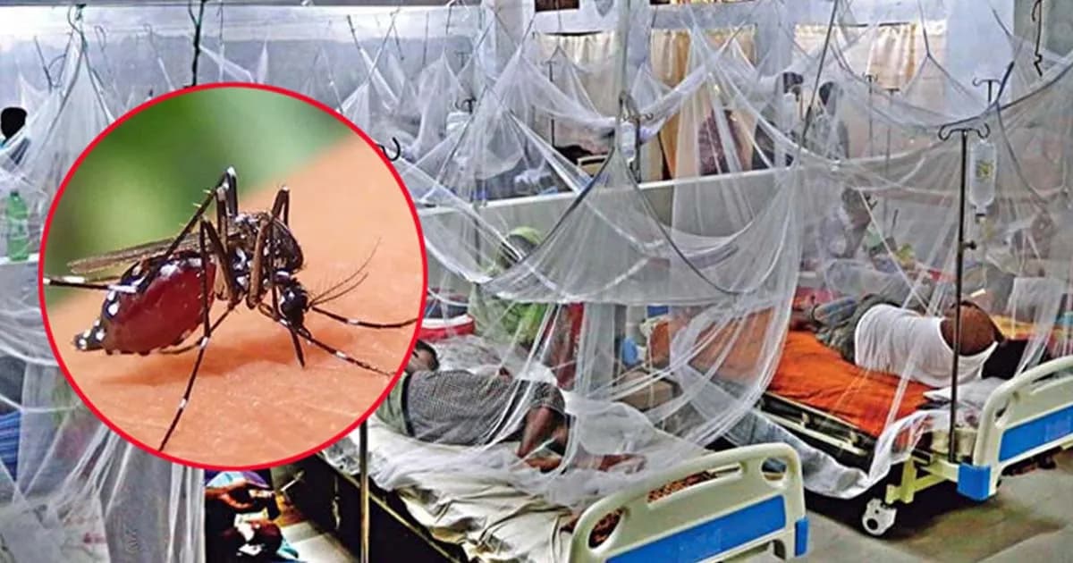 ২৪ ঘণ্টায় ডেঙ্গুতে আরও ২ জনের মৃত্যু