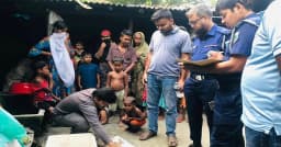 বগুড়ায় নারী বিড়াল জবাই করে হত্যা, ময়নাতদন্ত হবে ঢাকায়