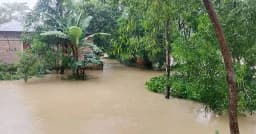 বন্যার পূর্বাভাস থাকলেও ছিল না প্রস্তুতি, পানিবন্দি ৫০ হাজার মানুষ