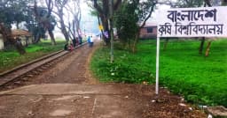 বাকৃবিতে ট্রেনে কাটা পড়ে অজ্ঞাত নারীর মৃত্যু