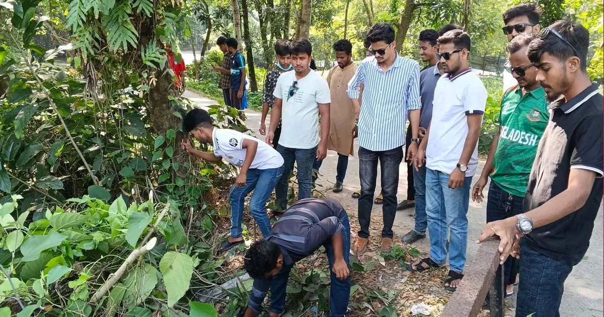থরঘাটায় ছাত্রদলের উদ্যোগে সড়ক পরিচ্ছন্নতা অভিযান