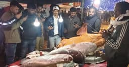 পৌষ সংক্রান্তিতে শেরপুরে ২০০ বছরের ঐতিহ্যবাহী মাছের মেলা