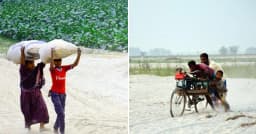 তিস্তার বুকে হাহাকার, রাজনৈতিক খেলার বলি কৃষকের স্বপ্ন