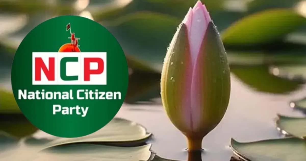 অবশেষে শাপলা কলিতেই রাজি এনসিপি