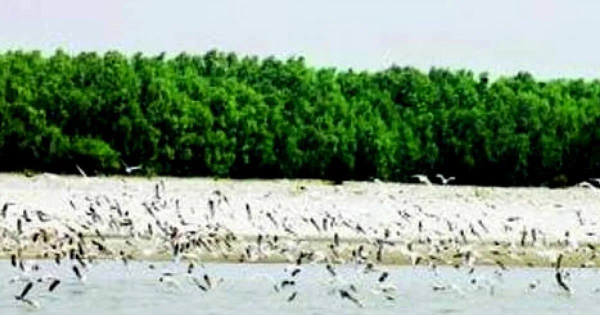 ঘুরে আসতে পারেন ভোলার তারুয়া দ্বীপ, যেভাবে যাবেন জেনে নিন