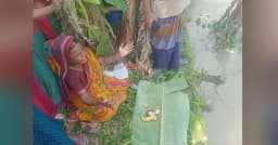 ‘বাপ-দাদার জমি গিলছে সন্ধ্যা’, ভাঙন ঠেকাতে নদীর পাড়ে প্রার্থনা
