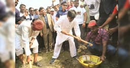 নির্বাচনী প্রতিশ্রুতি বাস্তবায়নে কাজ শুরু করেছে বিএনপি সরকার: কৃষিমন্ত্রী