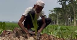 ৭০ বছর ধরে পরিবেশ সবুজ করেছেন যিনি, আজ তার জীবনই অসহায়