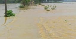 অতিবৃষ্টি ও পাহাড়ি ঢলে চুনারুঘাটের নিম্নাঞ্চল প্লাবিত