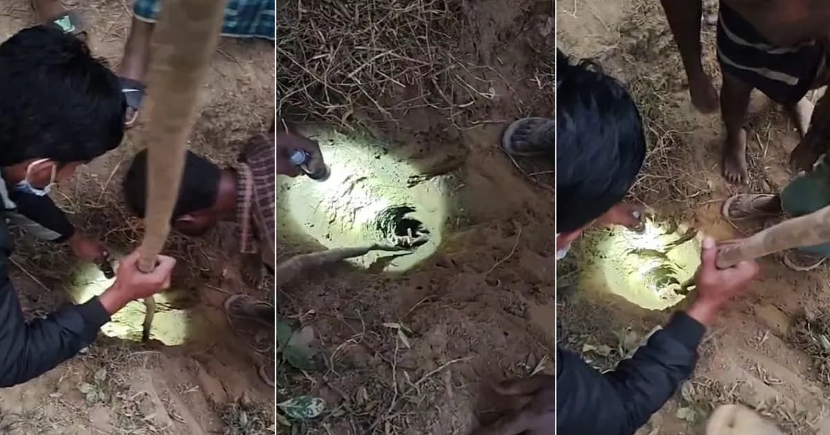 রাউজানে নলকূপে আটকে পড়া শিশু উদ্ধার, নেওয়া হয়েছে হাসপাতালে