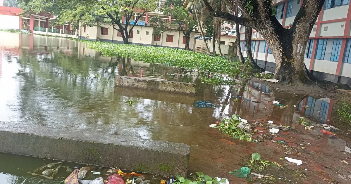 পুকুরের পানিতে ডুবে গেছে স্কুলের পথ, দুর্ভোগে শিক্ষার্থীরা