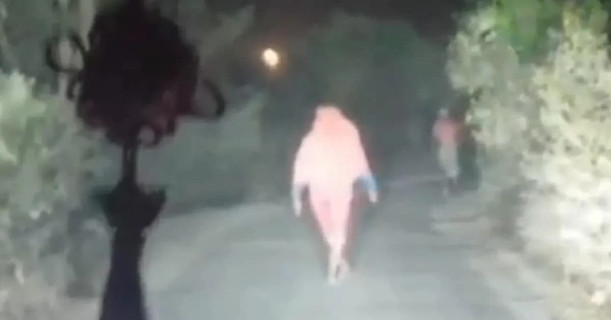 ভেড়ামারায় অস্ত্রের মুখে গাড়ি থামিয়ে ডাকাতি