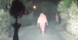 ভেড়ামারায় অস্ত্রের মুখে গাড়ি থামিয়ে ডাকাতি