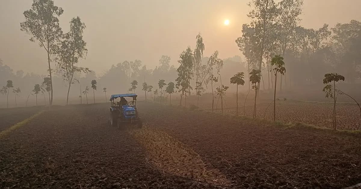 তেঁতুলিয়ায় কমেছে তাপমাত্রা, সন্ধ্যা থেকেই বাড়ছে ঠান্ডার অনুভূতি