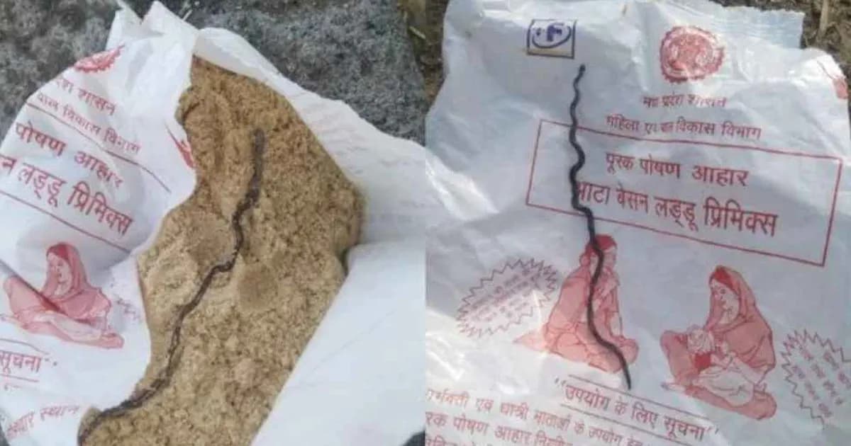 অন্তঃসত্ত্বা নারীদের খাবারে মিললো মৃত সাপের বাচ্চা