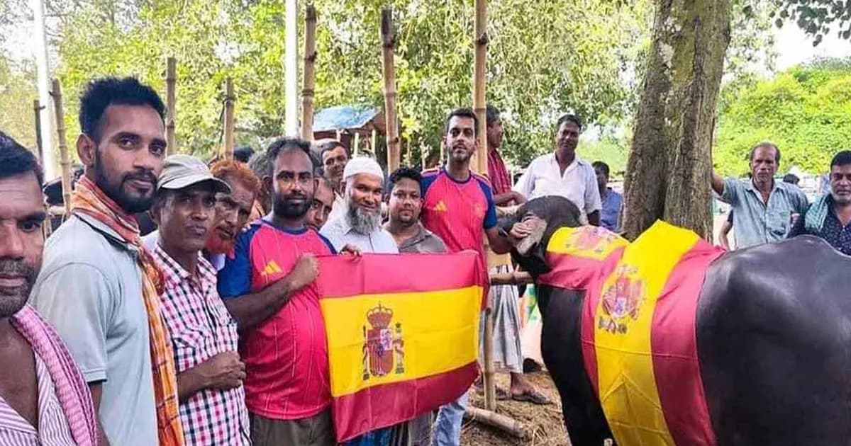 ফাইনাল উদযাপনে স্পেন সমর্থকদের ‘এলাহী আয়োজন’