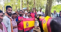 ফাইনাল উদযাপনে স্পেন সমর্থকদের ‘এলাহী আয়োজন’