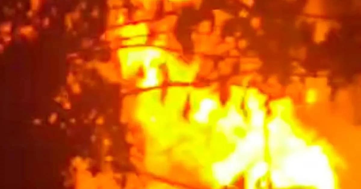 হাতিয়ায় অগ্নিকাণ্ডে হোটেল-গুদামসহ বসতঘর পুড়ে ছাই