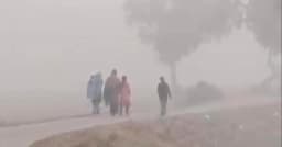 দিনাজপুরে বাড়ছে শীতের তীব্রতা