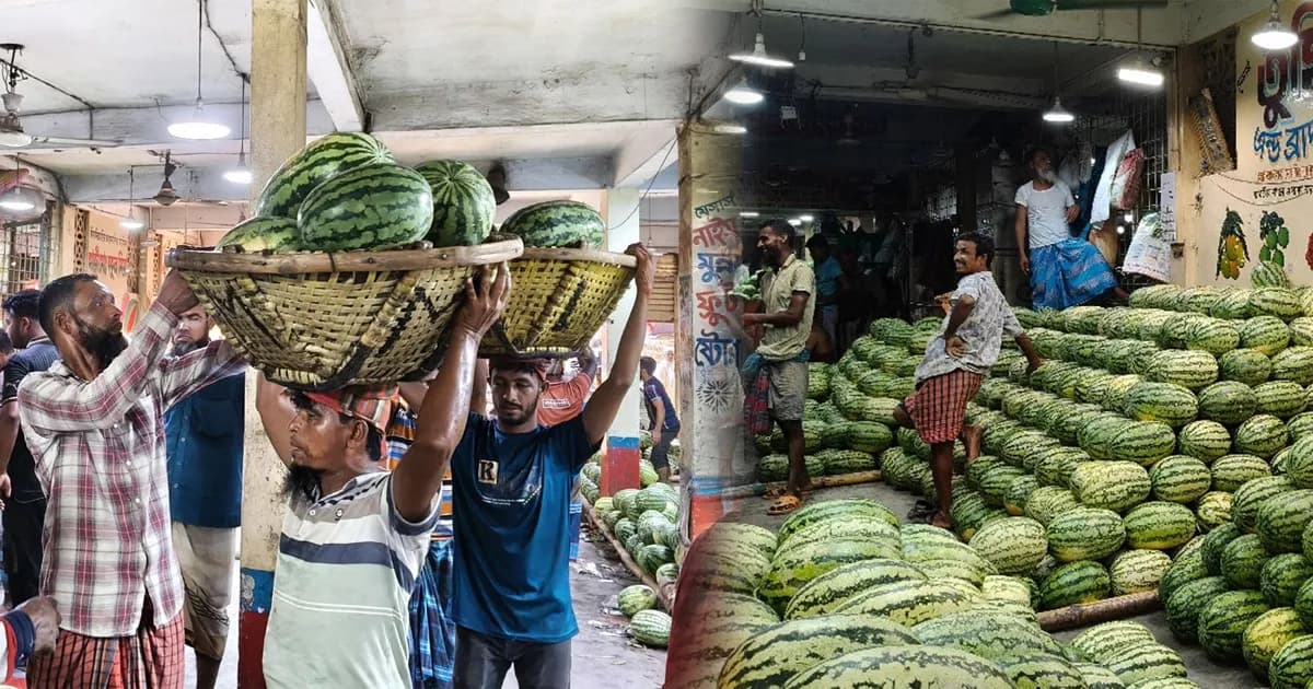 মাত্র ১ কিলোমিটার দূরত্বে আকাশ-পাতাল পার্থক্য তরমুজের দাম