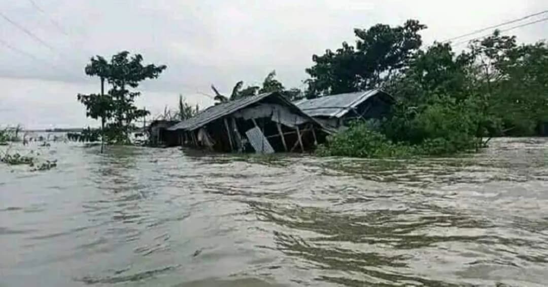 বন্যায় প্রাণহানি বেড়ে ৫৯, ক্ষতিগ্রস্ত ৫৬ উপজেলা