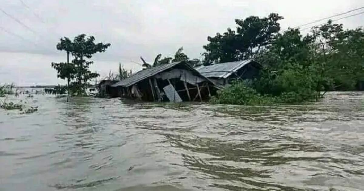 বন্যায় প্রাণহানি বেড়ে ৫৯, ক্ষতিগ্রস্ত ৫৬ উপজেলা