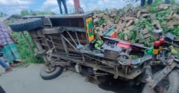 জীবননগরে আলমসাধুর ধাক্কায় ভ্যানচালক নিহত