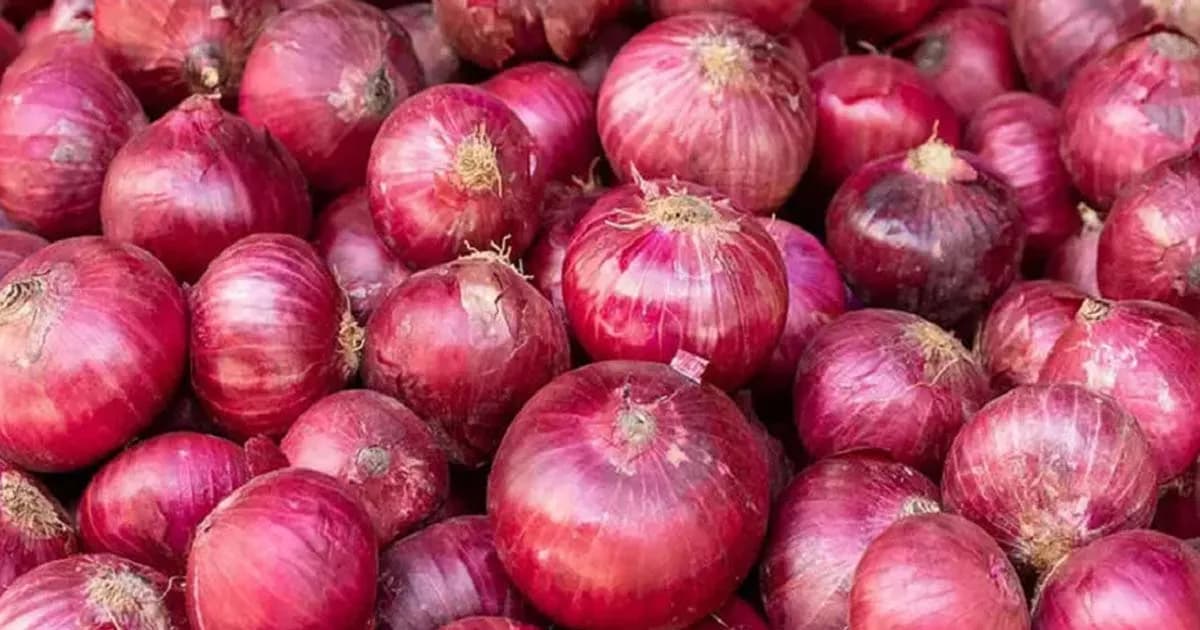 ভারত থেকে দেড় হাজার টন পেঁয়াজ আমদানির অনুমতি