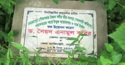 উদ্বোধনের পাঁচ মাসেও হয়নি পার্ক, জমিতে দুলছে পাট
