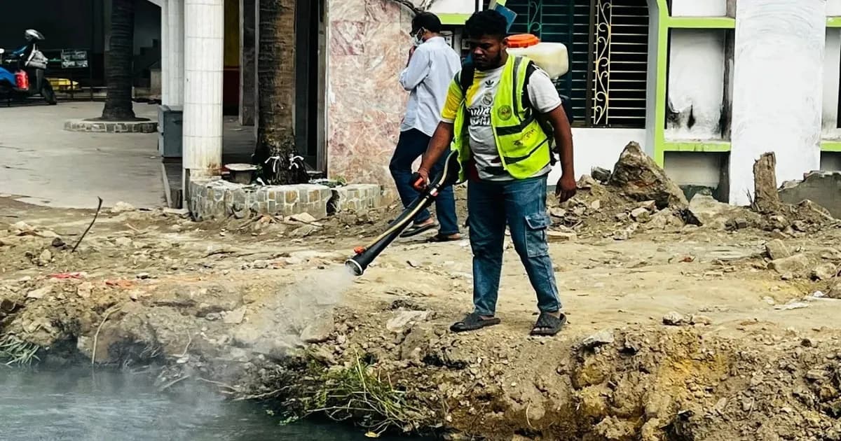 কোটি টাকা ব্যয়েও চট্টগ্রামে কমছে না মশার উপদ্রব