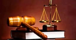 এবার থেকে ‘টাক’ বলে অপমান করলেই হবে যৌন হয়রানির শাস্তি!