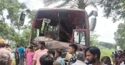 গরুবাহী নসিমনের সঙ্গে বাসের মুখোমুখি সংঘর্ষ, নিহত ৩