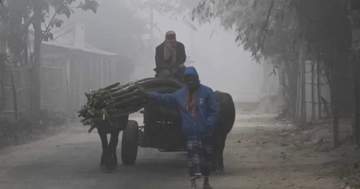 তেঁতুলিয়ায় তাপমাত্রা নেমে ১১ ডিগ্রির নিচে, বাড়ছে শীতের দাপট