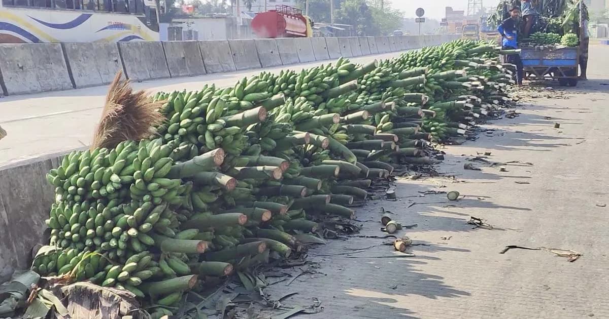 মহাসড়কজুড়ে কলার হাট, প্রতি হাটে বিক্রি ১০ লাখ