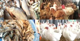 রাজধানীতে দেশি মুরগি ৬০০ রুই ৪০০, ব্রয়লারই শেষ ভরসা!