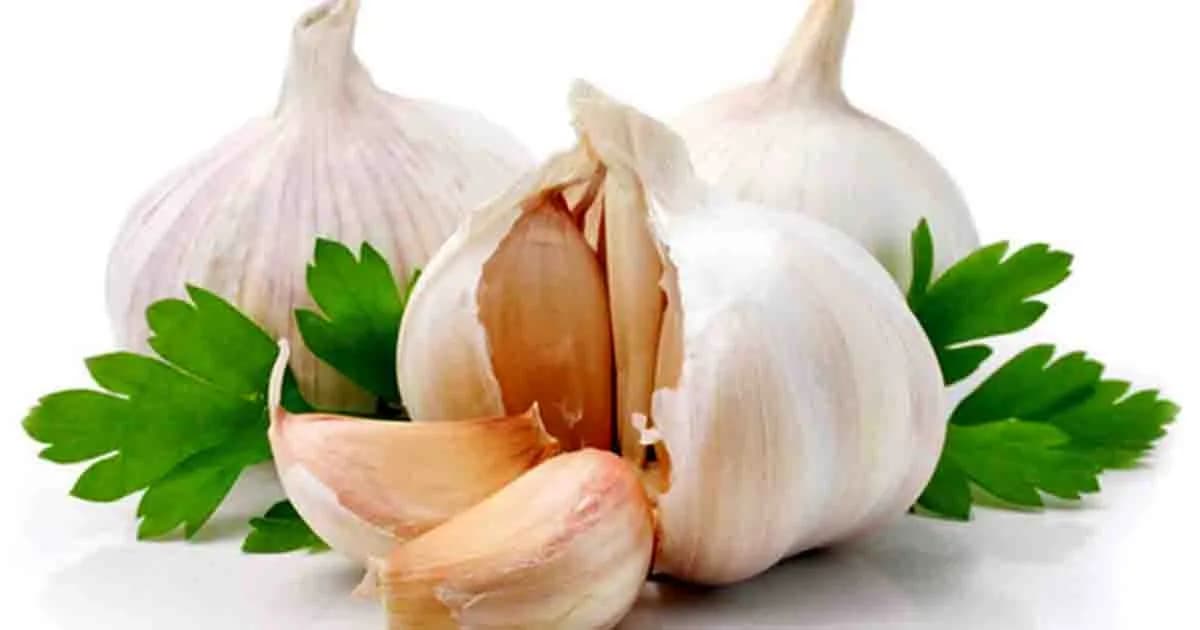 প্রতি রাতে এক কোয়া রসুন খেলে কী হয়, জেনে নিন
