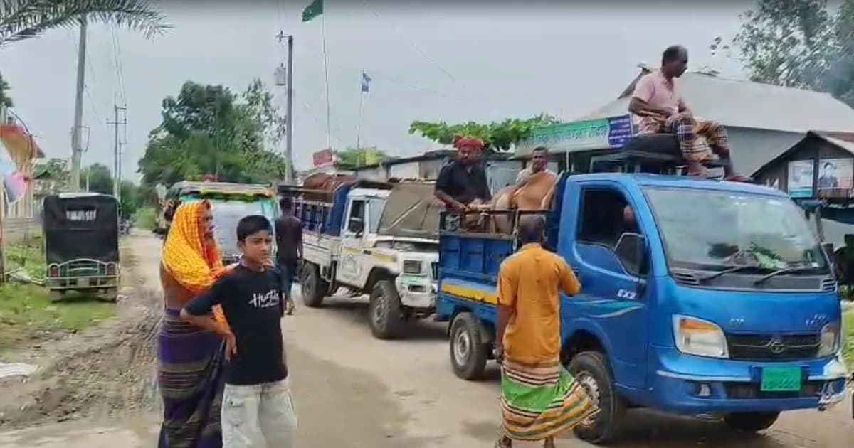 পশুবাহী ট্রাক আটকে পথরোধের অভিযোগ, সংকটে কাইতলা পশুর হাট