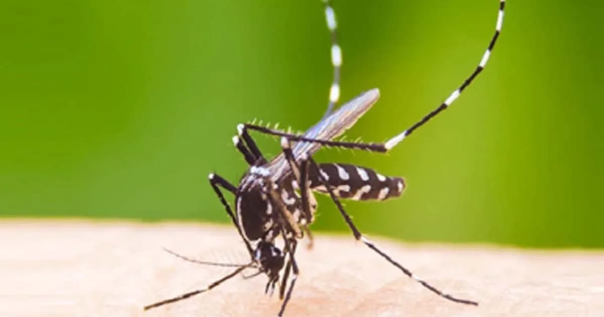 ২৪ ঘন্টায় আরও ৬১৯ জনের ডেঙ্গু শনাক্ত, মৃত্যু ১