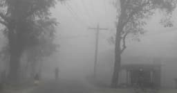 রাজশাহীতে গুঁড়ি গুঁড়ি বৃষ্টি, আরও জেঁকে বসতে পারে শীত