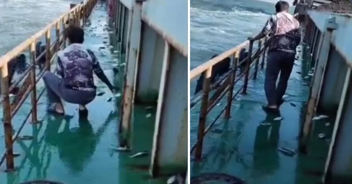 লাইটারেজ জাহাজের ডেকে হঠাৎ উঠে এলো ঝাঁকে ঝাঁকে ইলিশ