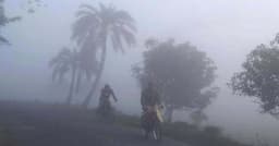 শীতে জমে গেছে চুয়াডাঙ্গা, সর্বনিম্ন তাপমাত্রার রেকর্ড