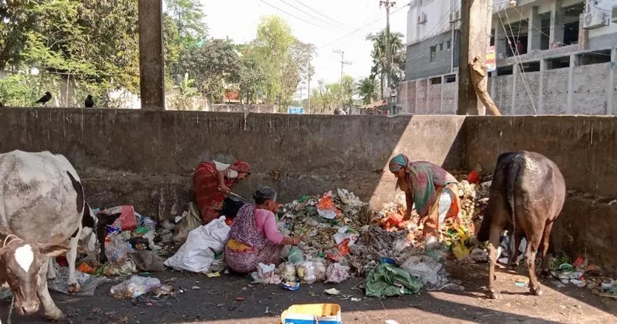 বগুড়া শহরে যত্রতত্র ময়লার স্তূপে জনজীবন অতিষ্ঠ
