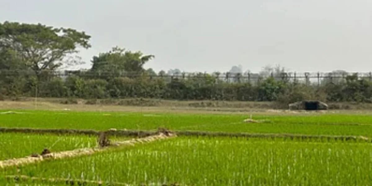 মিয়ানমার সীমান্তে আবারও গোলাগুলি, উখিয়ায় রোহিঙ্গা গুলিবিদ্ধ