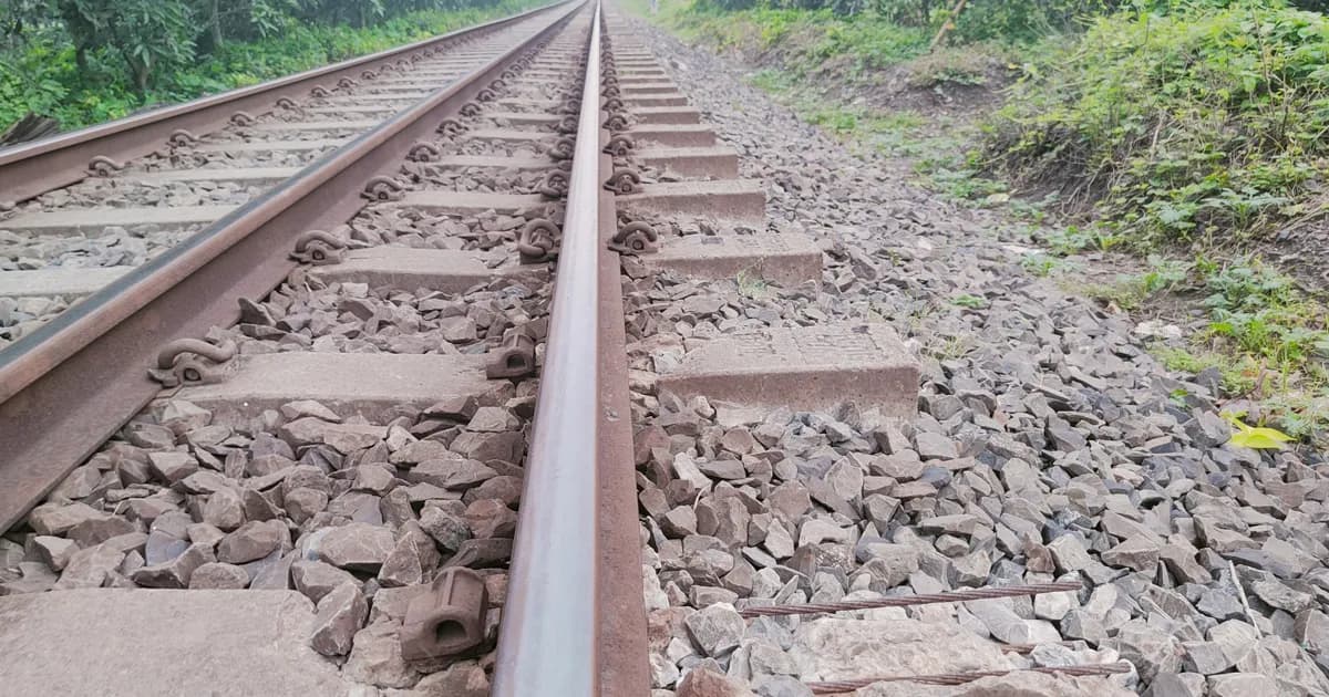 বাগাতিপাড়ায় সাড়ে ৭ কিলোমিটার রেলপথে ৩ হাজার ৪০০ স্লিপার ক্ষতিগ্রস্ত