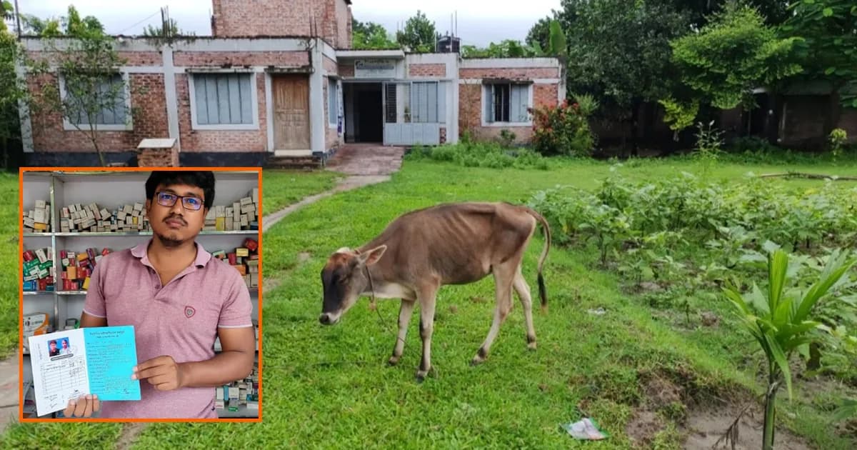 কিস্তির টাকা নিয়ে শঙ্কা, গ্রাহকের গরু নিয়ে গেলেন এনজিওর কর্মী