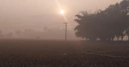 পঞ্চগড়ে মৌসুমের সর্বনিম্ন তাপমাত্রা, বাড়ছে শীতের দাপট