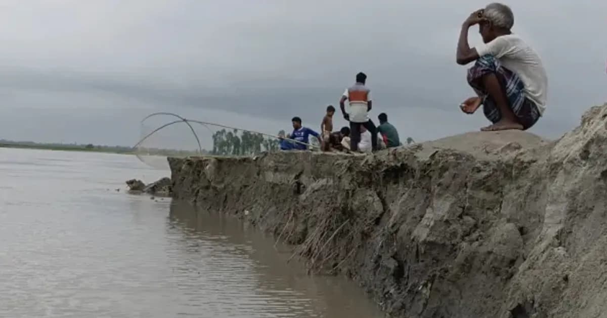 জিও ব্যাগেও থামছে না তিস্তার ভাঙন, ৭ দিনে নিঃস্ব বহু পরিবার