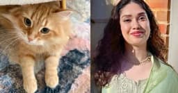 প্রিয় পোষ্য জেবুকে ঘিরে জাইমা রহমানের পোস্ট