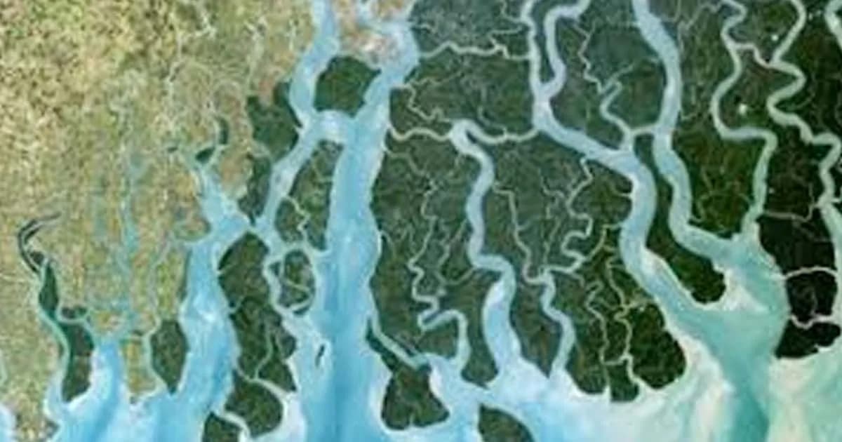 সমুদ্রপৃষ্ঠের চেয়েও দ্রুত তলিয়ে যাচ্ছে বিশ্বের বড় বড় বদ্বীপ