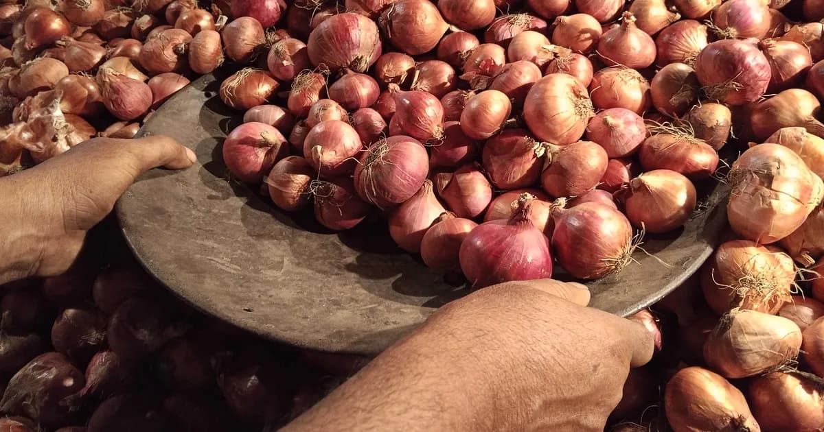 আমদানির খবরে কমলো দেশি পেঁয়াজের দাম
